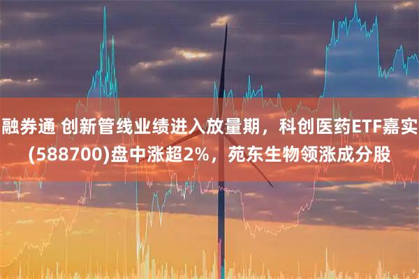 融券通 创新管线业绩进入放量期，科创医药ETF嘉实(588700)盘中涨超2%，苑东生物领涨成分股