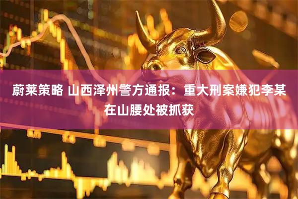 蔚莱策略 山西泽州警方通报：重大刑案嫌犯李某在山腰处被抓获