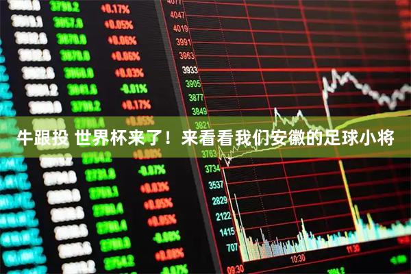牛跟投 世界杯来了！来看看我们安徽的足球小将