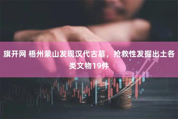 旗开网 梧州蒙山发现汉代古墓，抢救性发掘出土各类文物19件